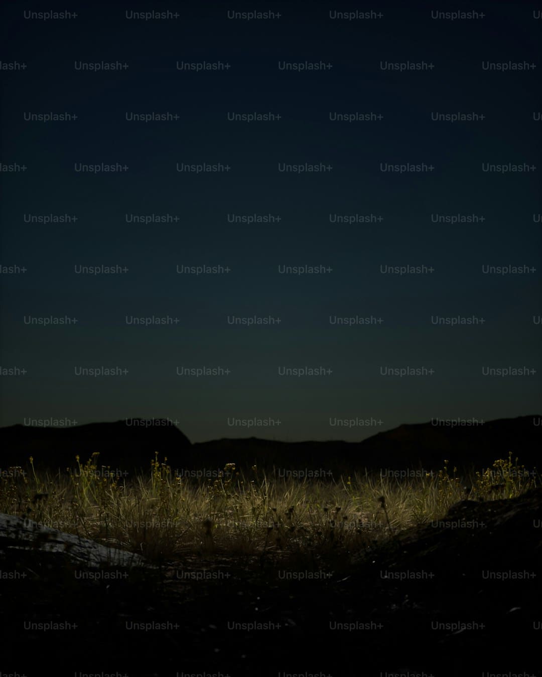 https://static.ws.126.net/163/frontend/images/2022/empty.png